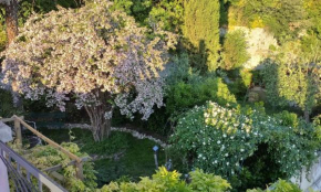 La casa di Paola Terni